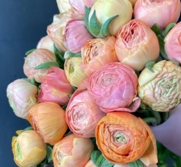 Ранункулюс (лютик) Сальмон Ранункулюс (лютик) Сальмон